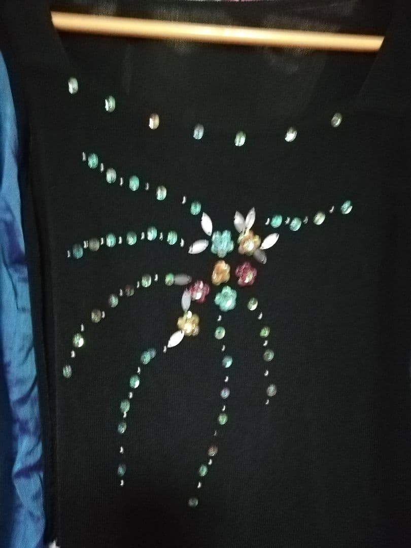 社交ダンス　カラオケにも　上下　フリーサイズ