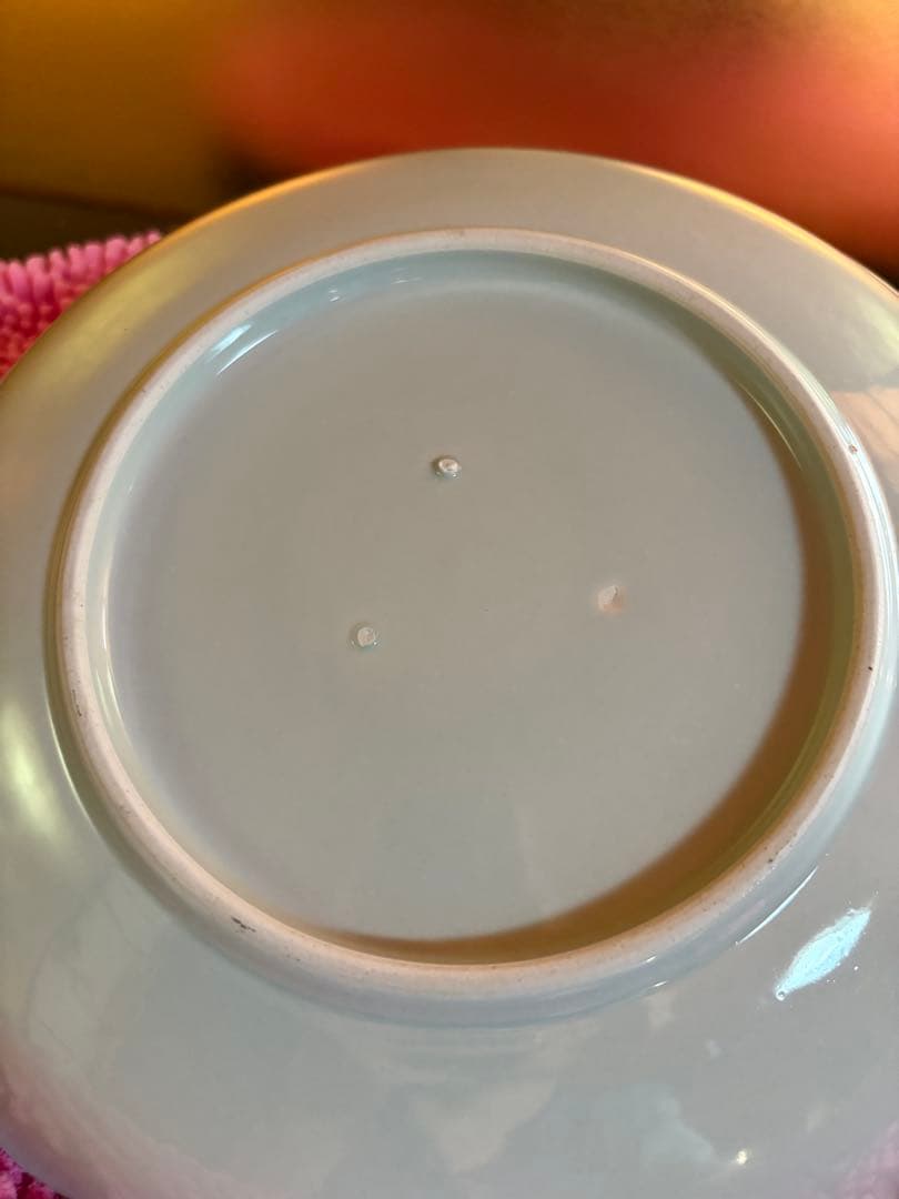 鯉の滝登り　皿　飾り皿