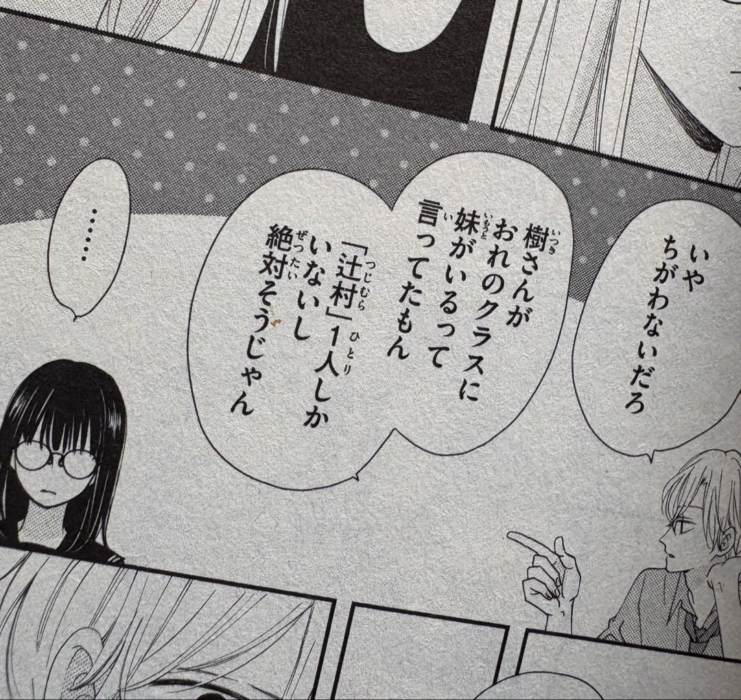 しーやん様　主人恋日記　全巻　1〜12巻 セット　特装版　アクスタ 付き