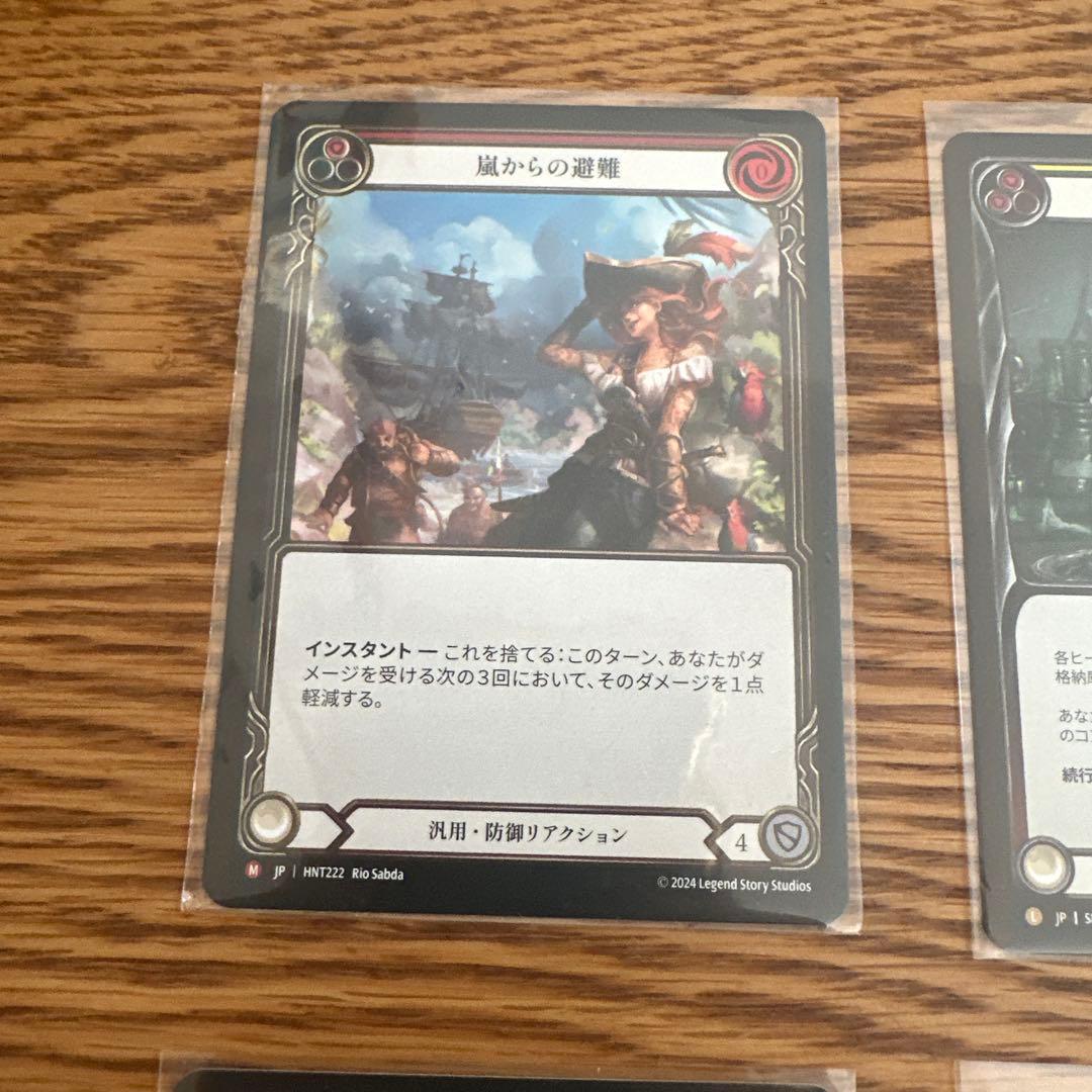 その他 flesh and blood