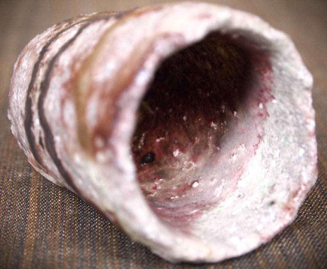 人気作家★高橋燎★信楽【窯変】焼き締め酒器A★トレインキルン薪窯