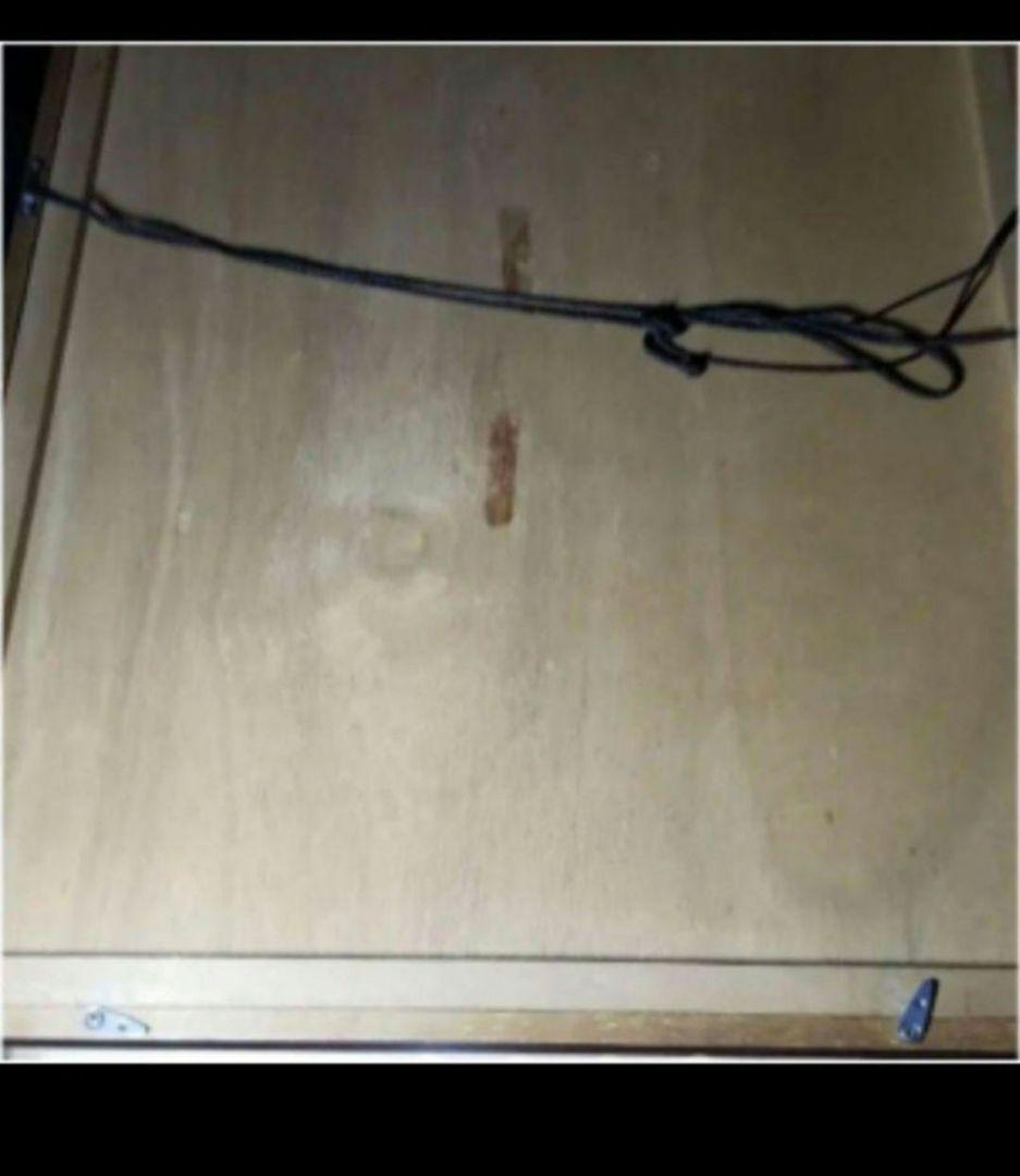 石踊紘一 花を持つ娘