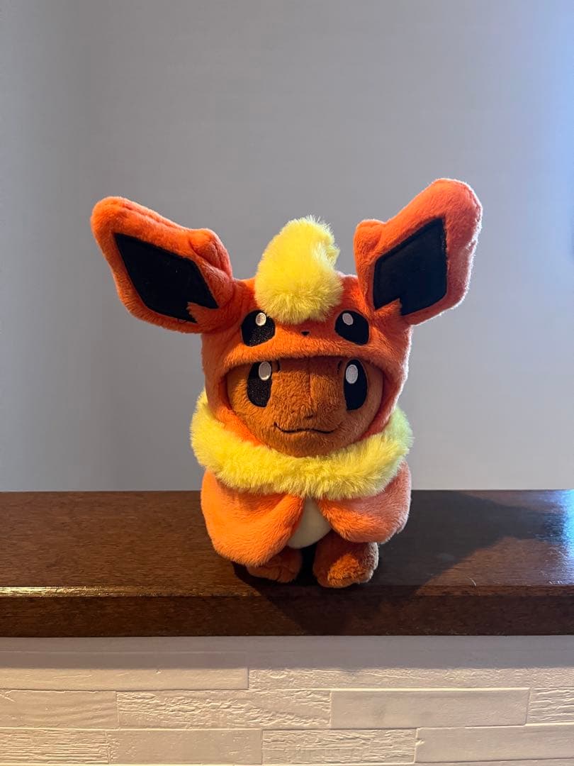 希少！ポンチョを着たイーブイセット