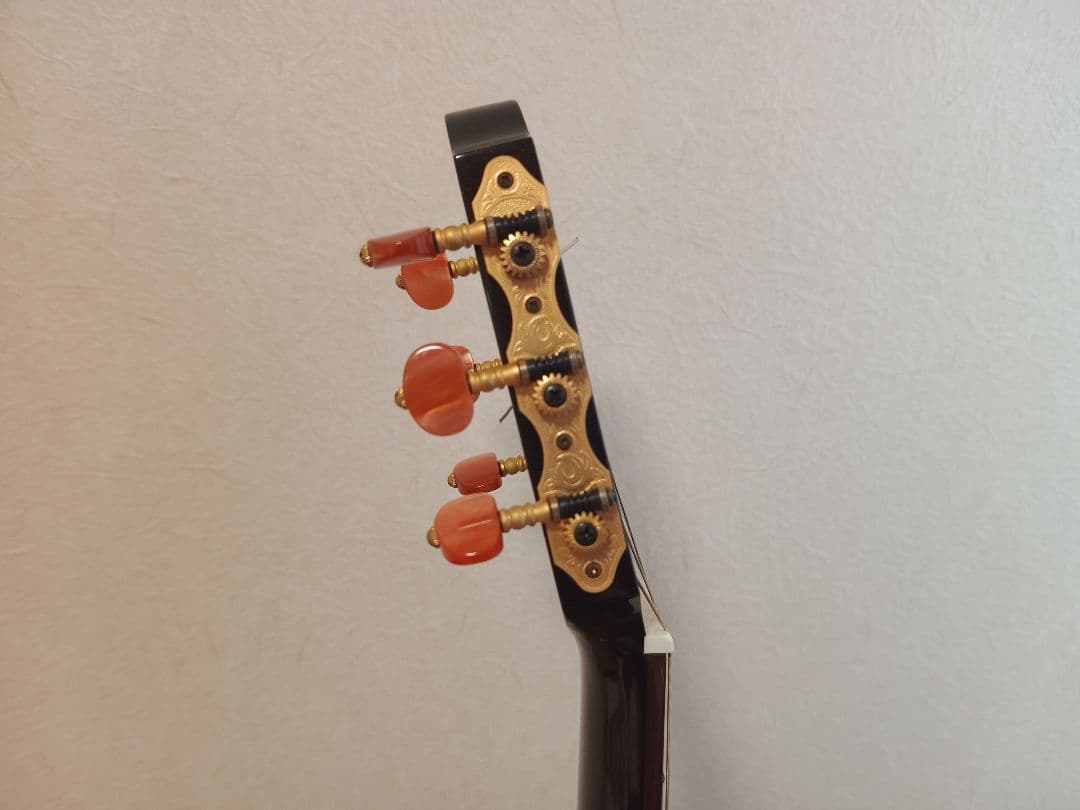 ヤマハ　サイレントギター SLG110N