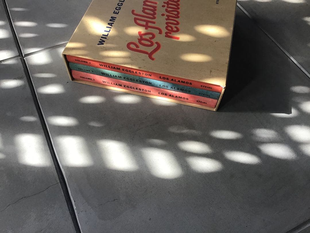 アート・デザイン・音楽 William Eggleston: Los Alamos