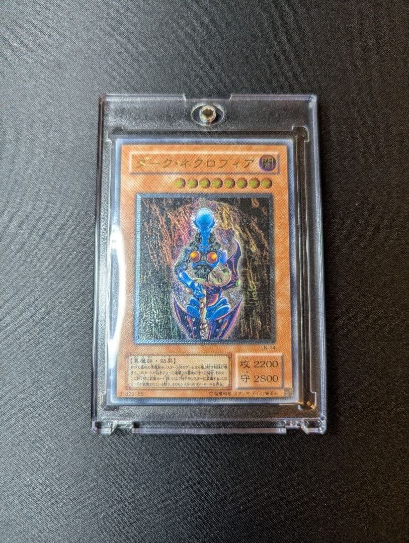 し*ぃ様 ダーク・ネクロフィア【LN-14】レリーフ (遊戯王OCG)