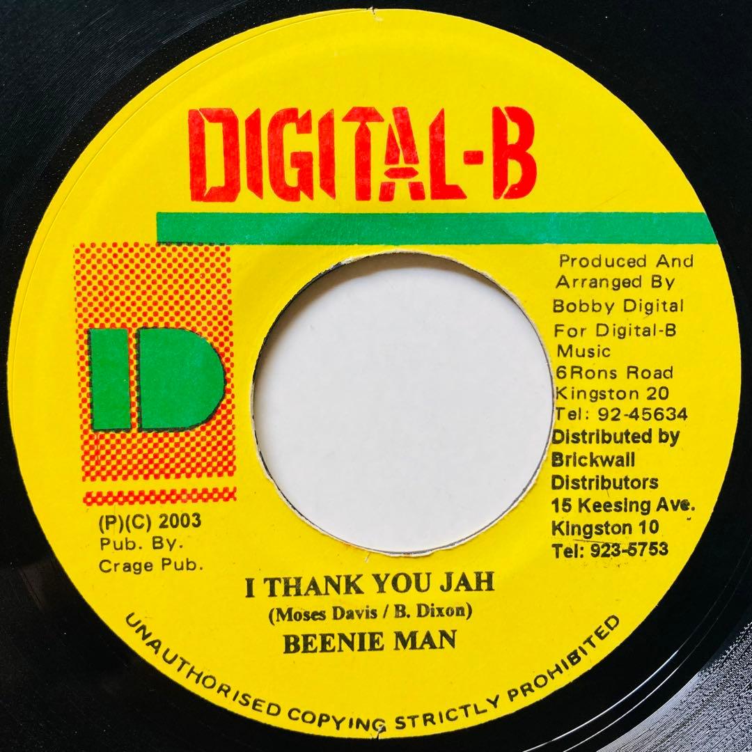 レゲエ THANK YOU MAMA リディム 8枚