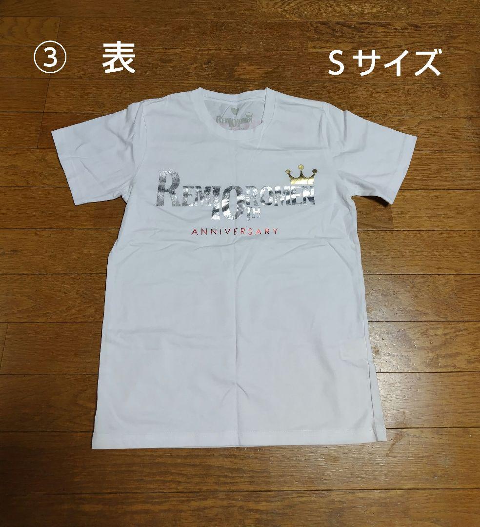 レミオロメン　まとめ売り　パンフレット　DVD CD ライブグッズ