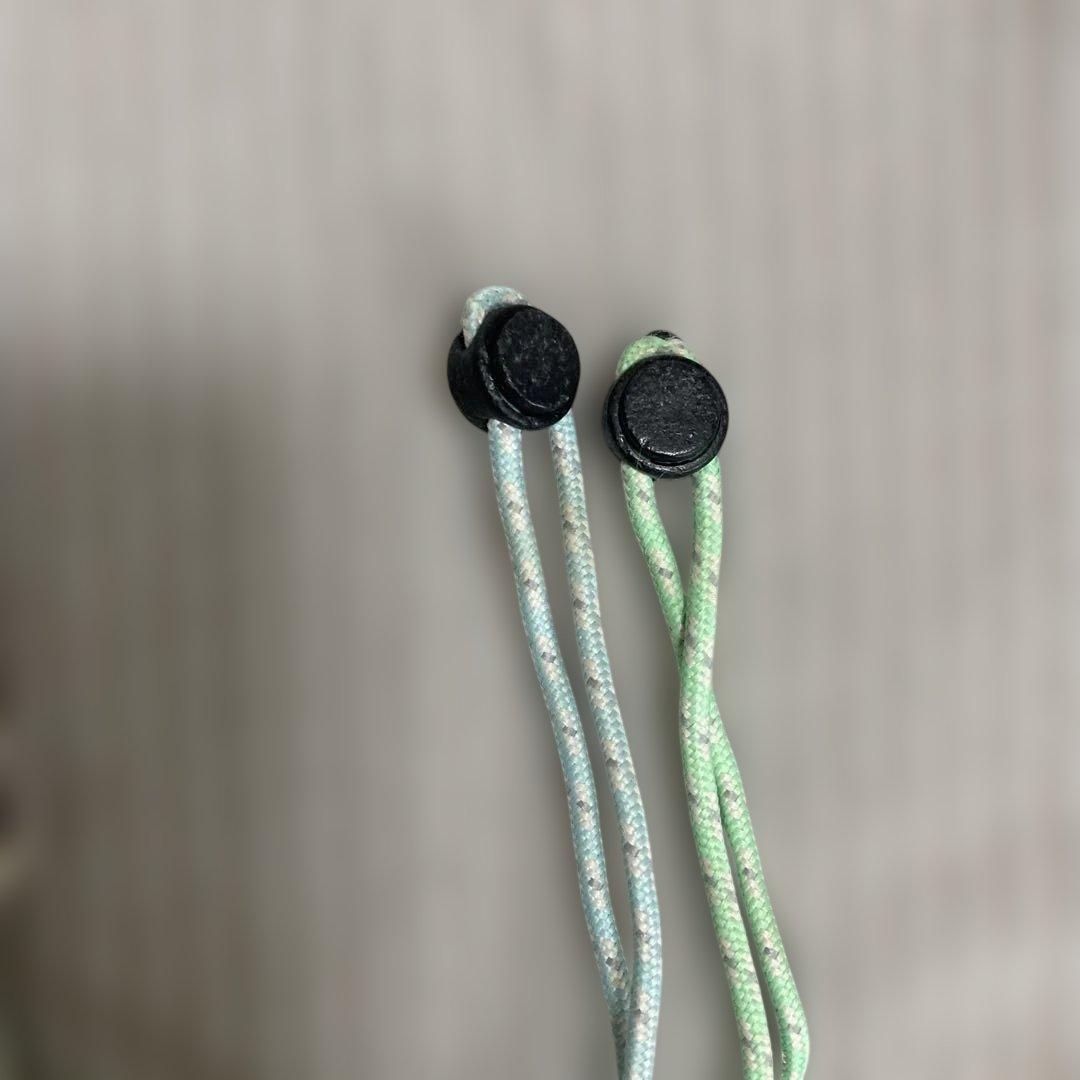 Nintendo Switch あつまれどうぶつの森　本体　カバー付き