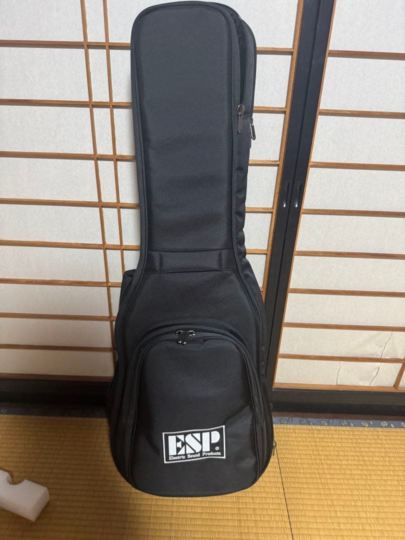 ギター ESP E-II HORIZON NT-II