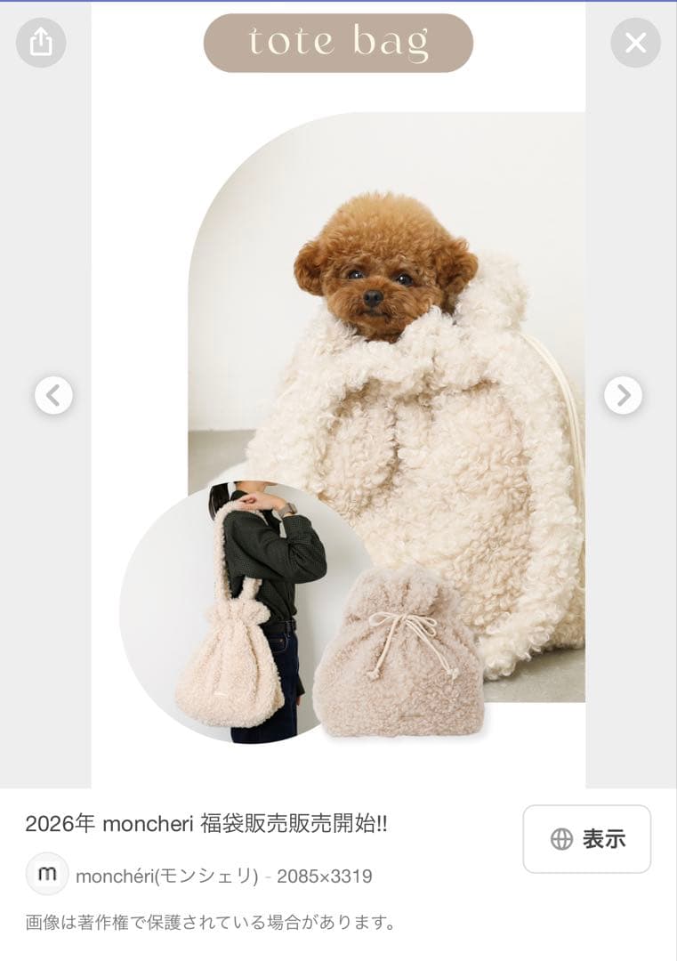 moncheriモンシェリ HAPPY BAG 2026！！ダウン M 福袋