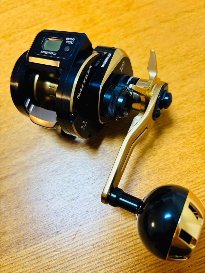 極美品　SALTIGA IC 100