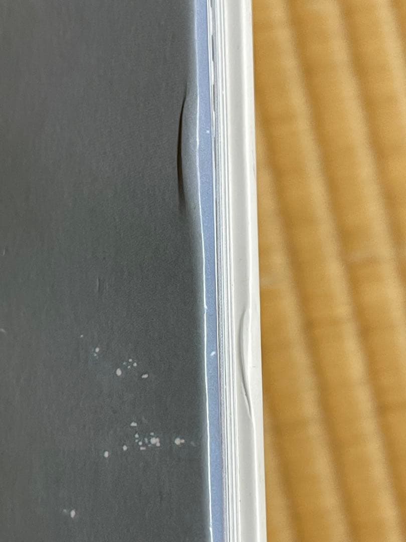 Viviane Sassen \"PARASOMNIA\" 初版