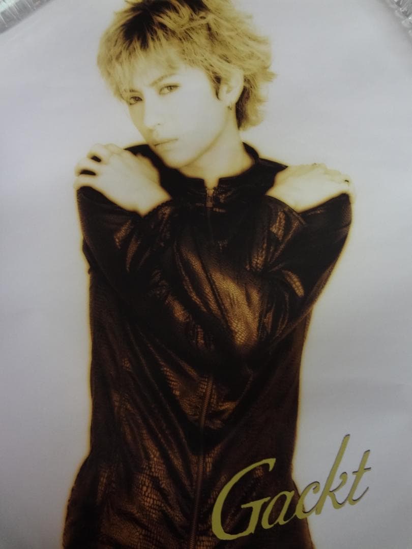 Gａｃｋｔ　ガクト　　入手困難非売品ポスター３０本まとめて
