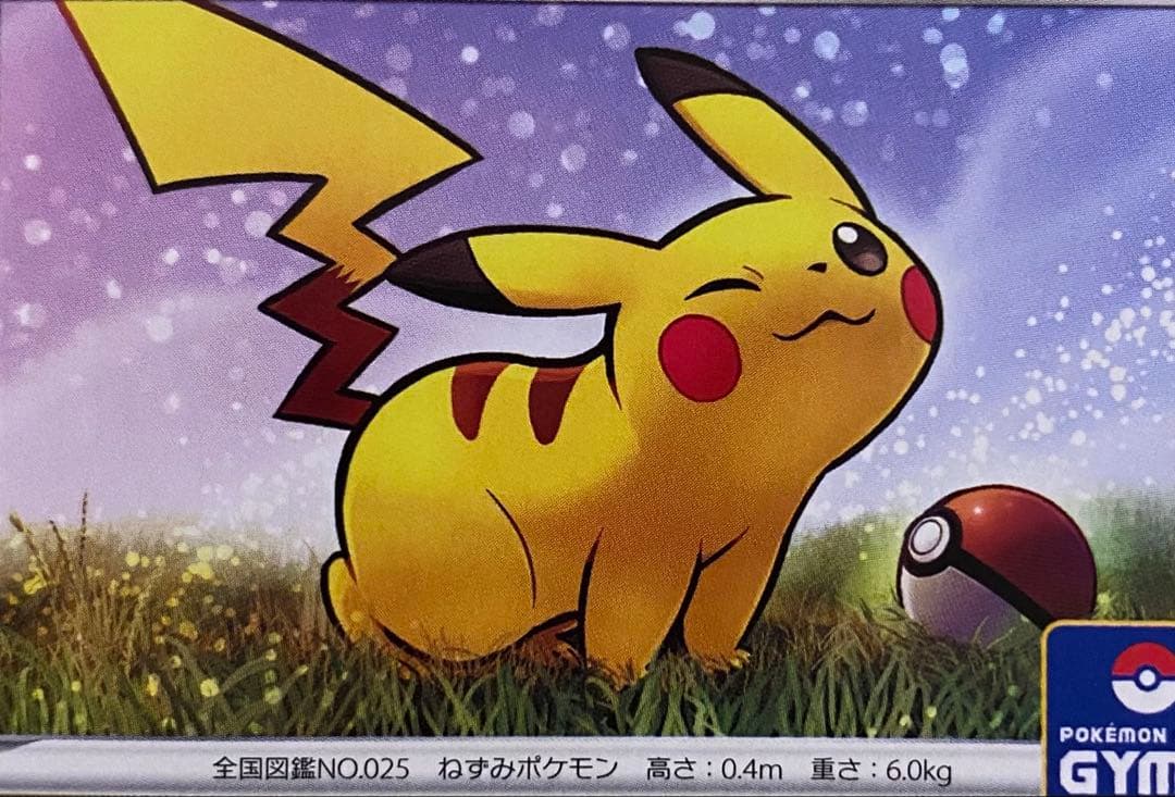ピカチュウ 024/S-P プロモカードパック第1弾 2019 ジムプロモ