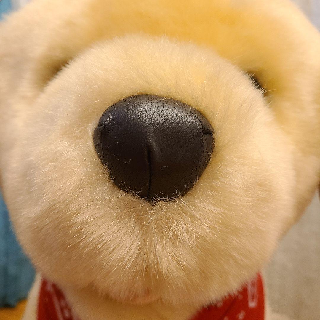 ポチたま　まさお君が行く　ペットの旅　LOVEまさお君が行く　ラブラドール