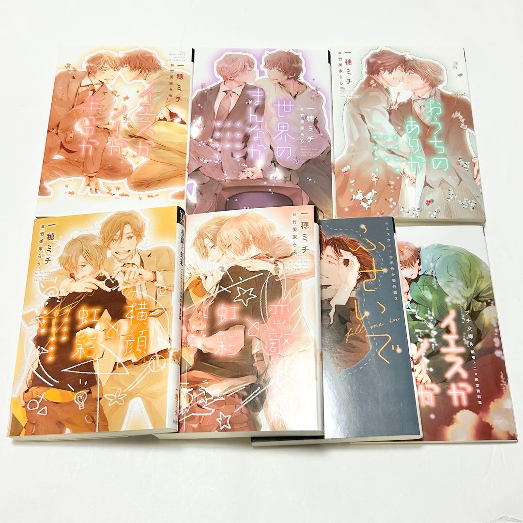 【送料込み】《13冊セット》イエスかノーか半分か 小説 漫画 一穂ミチ ユキムラ