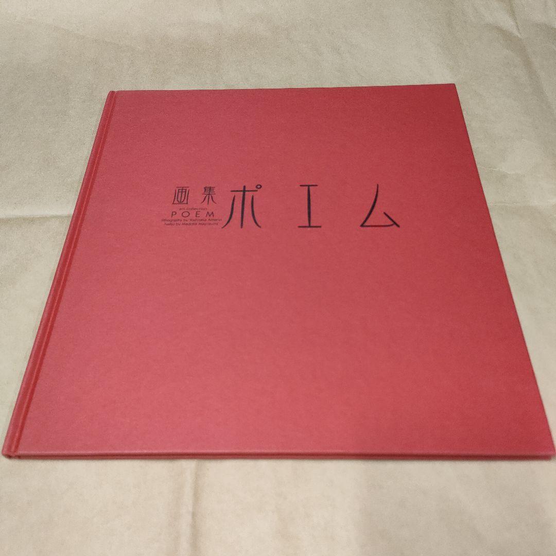 天野喜孝 画集まとめ売り