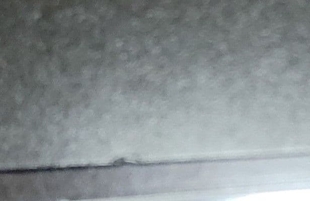 Collar×Malice 　カラーマリス　ランチョン