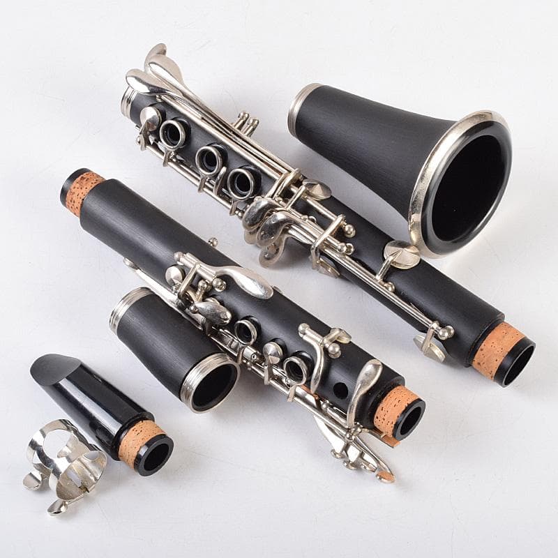 Maxtone　マックストーン　クラリネット　ケース付　M　R9310B