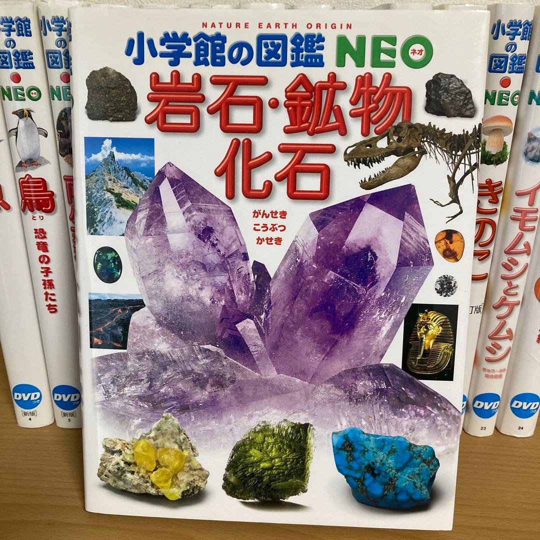小学館の図鑑NEO 全14巻 DVD付き