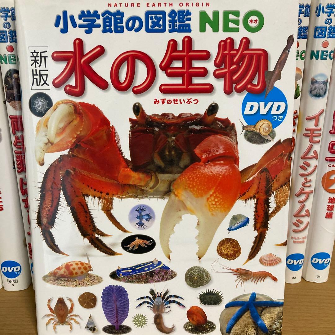 小学館の図鑑NEO 全14巻 DVD付き