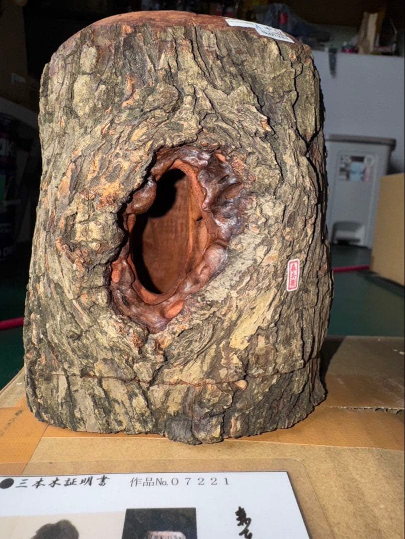 三本木　森兵衛A+Ω クラフトウッド　「クワガタ」