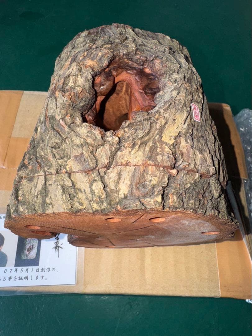 三本木　森兵衛A+Ω クラフトウッド　「クワガタ」