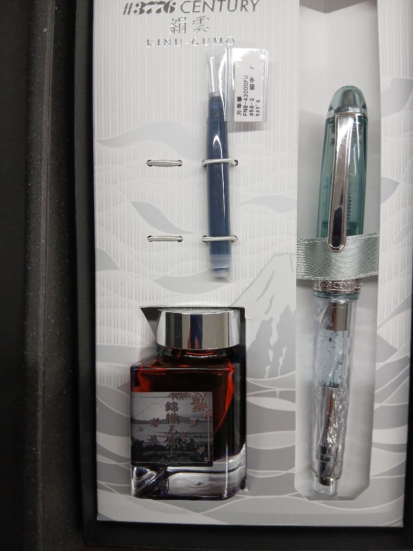 PLATINUM 万年筆 #3776 絹雲 富士雲景 限定セット