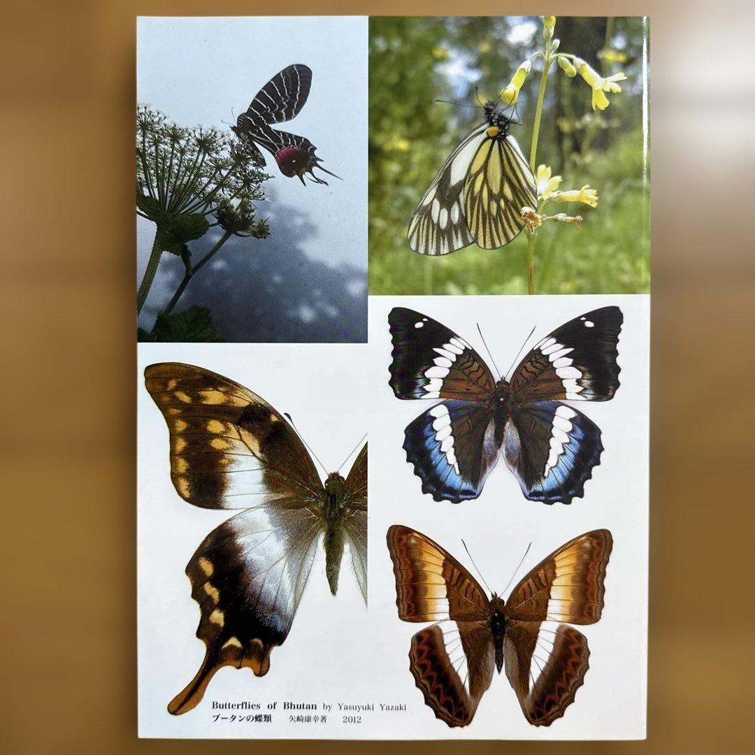 ブータンの蝶類 : Butterflies of Bhutan