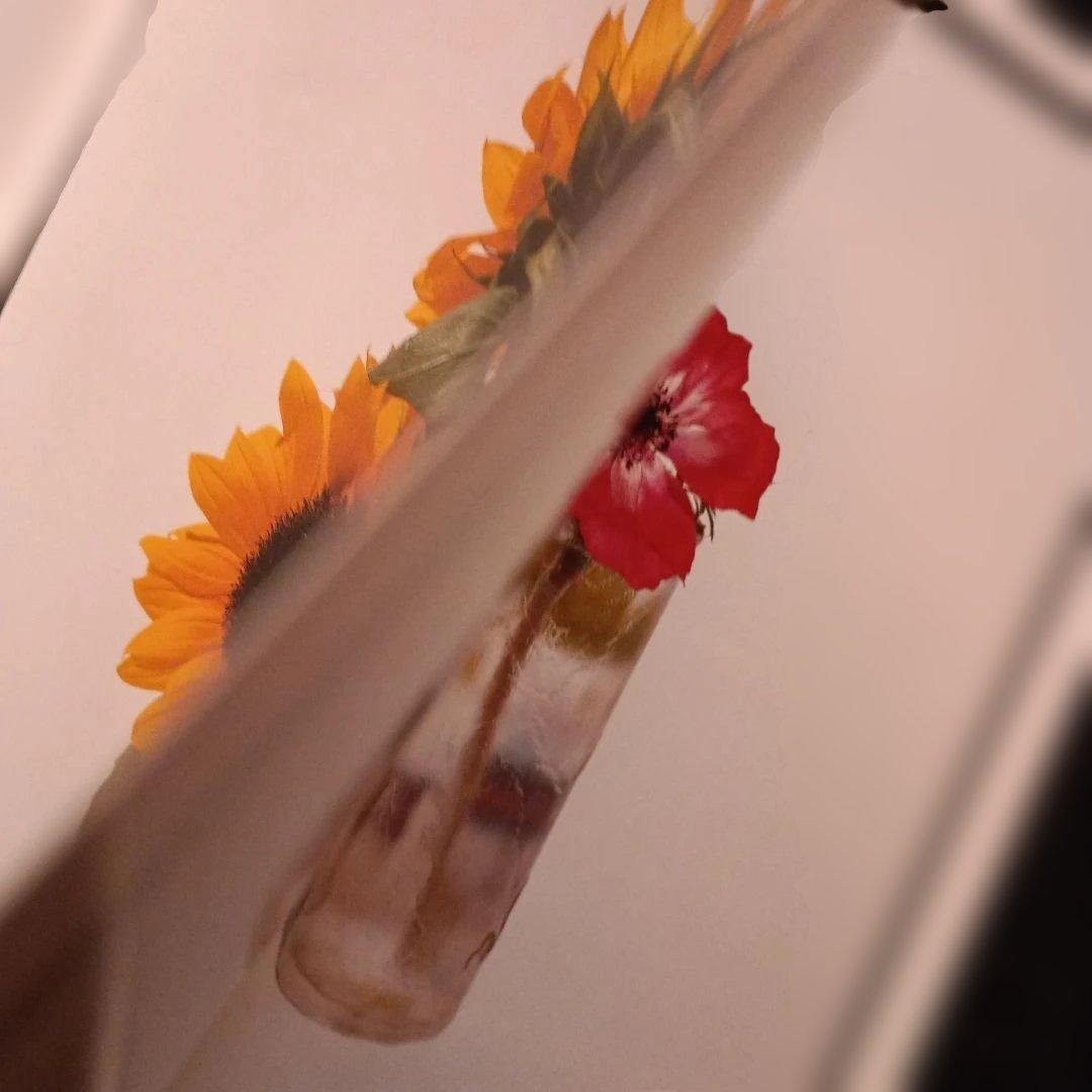 上田義彦写真集「Flowers」 伊藤俊治 光琳社 1997年初版