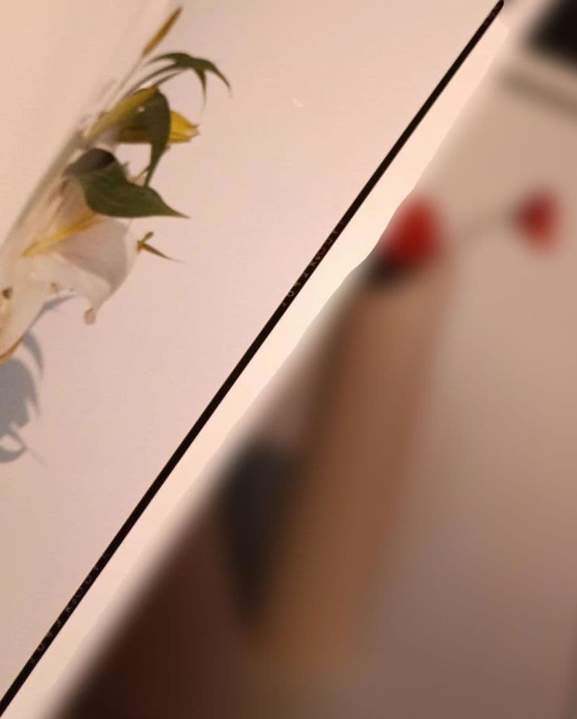 上田義彦写真集「Flowers」 伊藤俊治 光琳社 1997年初版