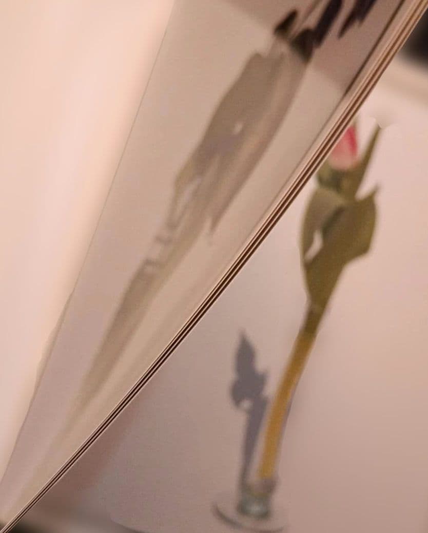 上田義彦写真集「Flowers」 伊藤俊治 光琳社 1997年初版