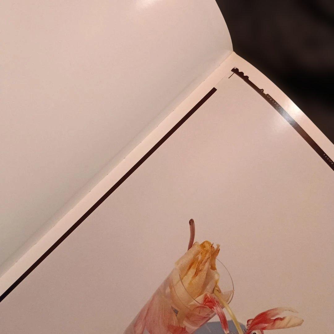 上田義彦写真集「Flowers」 伊藤俊治 光琳社 1997年初版