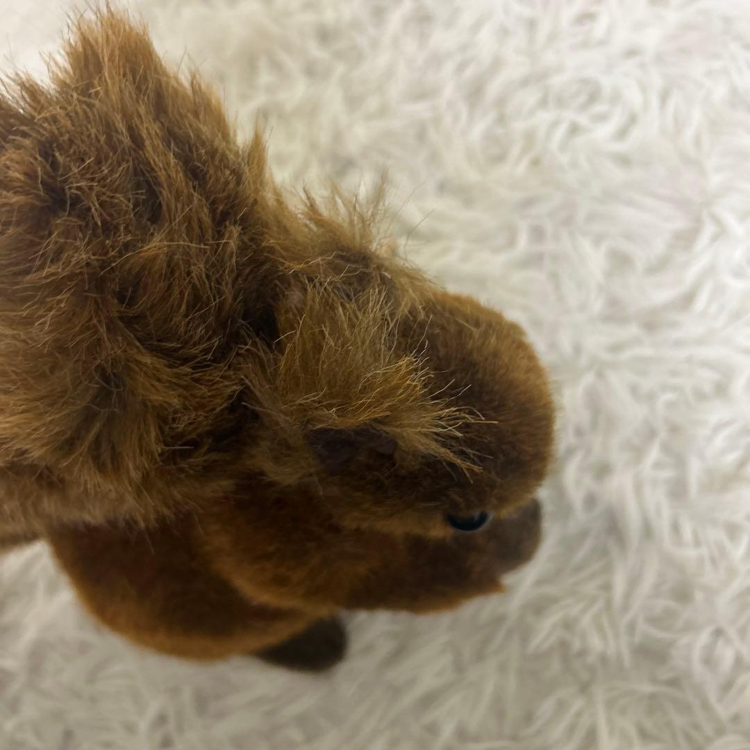 【極美品】タグ付き　KOSEN ケーセン りす ２３㎝　参考定価23,650円