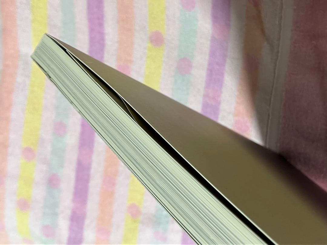 セール中　画集　絵画　芸術　アート　美術　図録　ロシア絵画　東ヨーロッパ　東欧