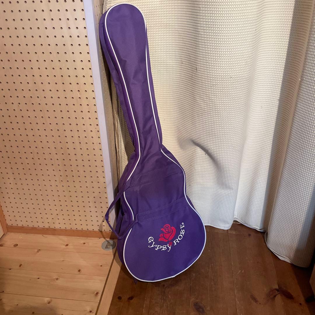 Gypsy Rose レスポール エレキギター パープル