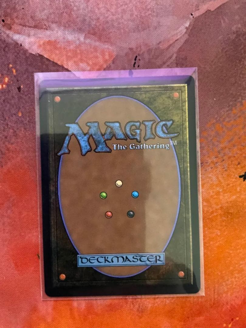 ドラゴンスケイルFoil 霧深い雨林/Misty Rainforest＋おまけ