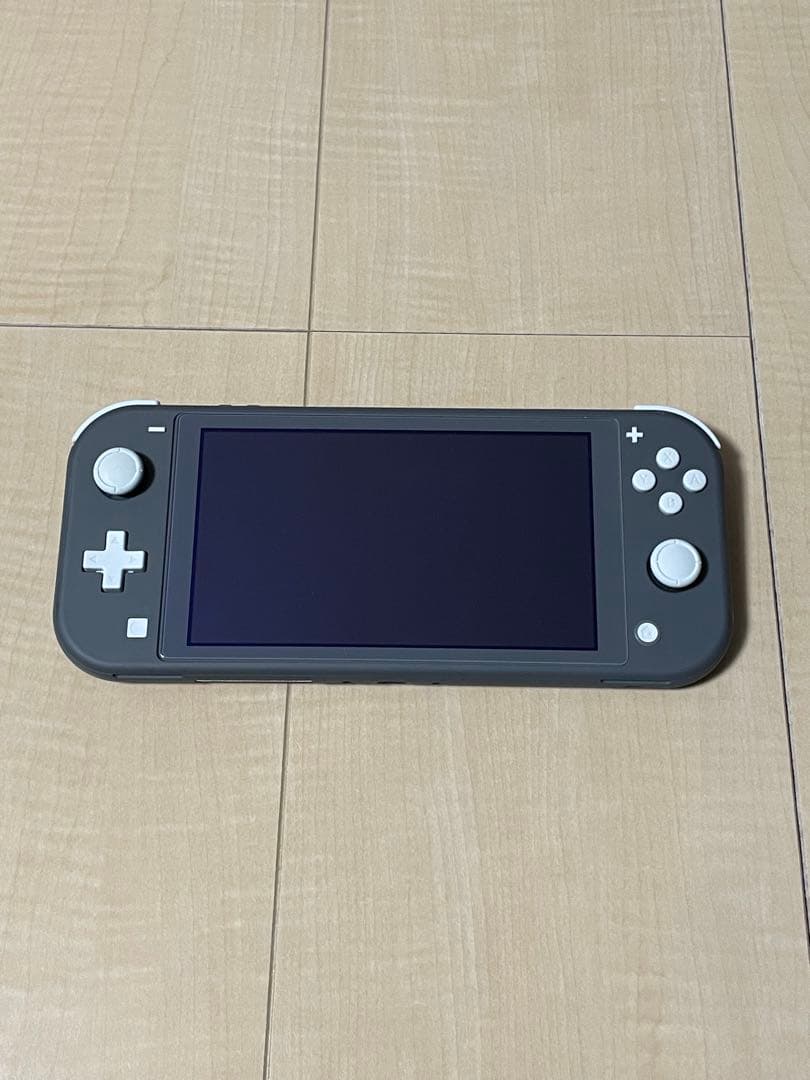 Nintendo Switch Lite グレー 本体 ジャンク品
