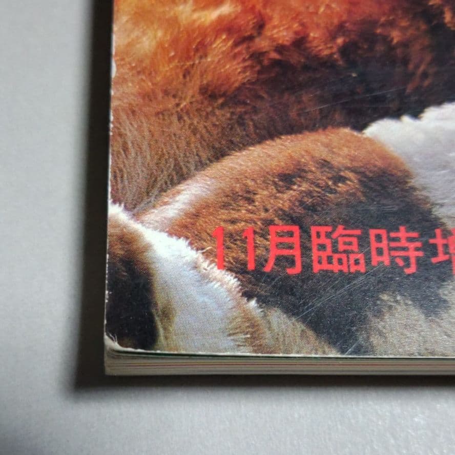 太陽'8１　臨時増刊 　特集決定版 犬歳年賀状図案1001集　希少昭和本