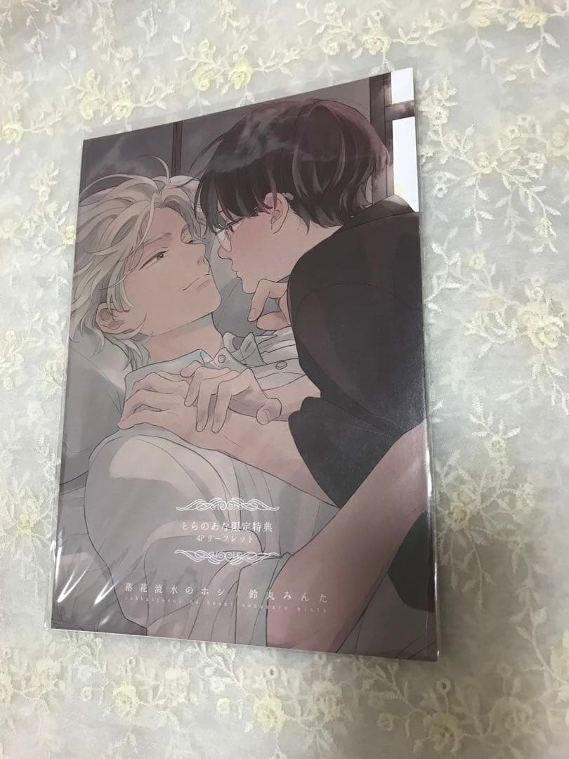 鈴丸みんた　落花流水のホシ　レア　特典まとめ売り　冊子　リーフレット　ペーパー