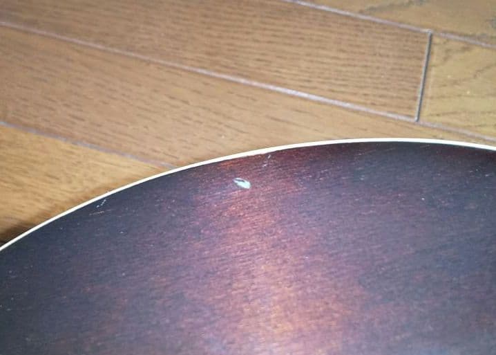 フラットマンドリン アリアAM-200E