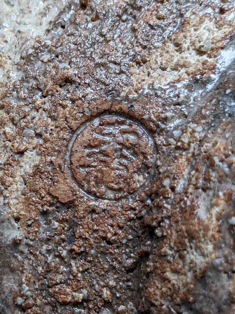 ♦萩焼 鬼萩 割り高台 抹茶碗 茶道具 アンティーク 骨董品 コレクション