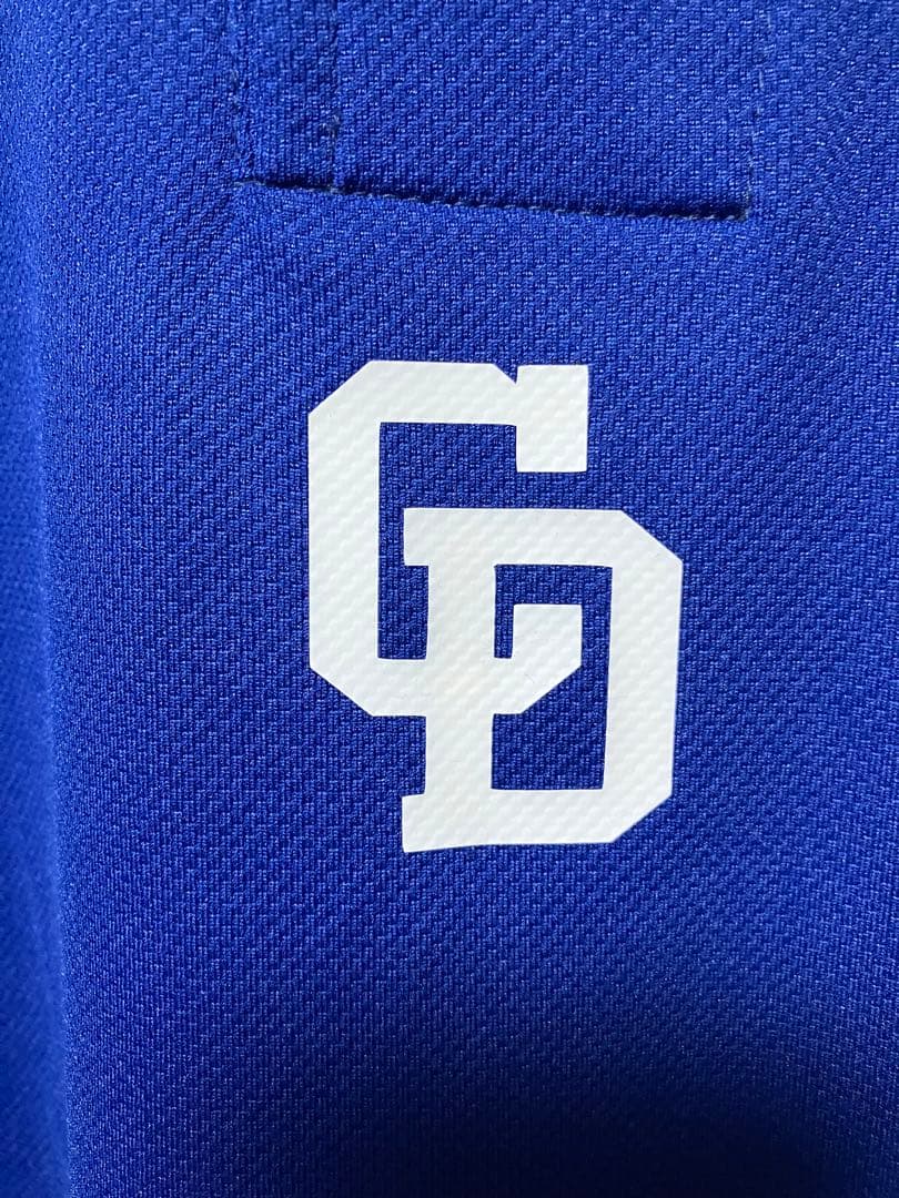 ミズノプロ 中日ドラゴンズ ユニフォーム 背番号20 サイズO