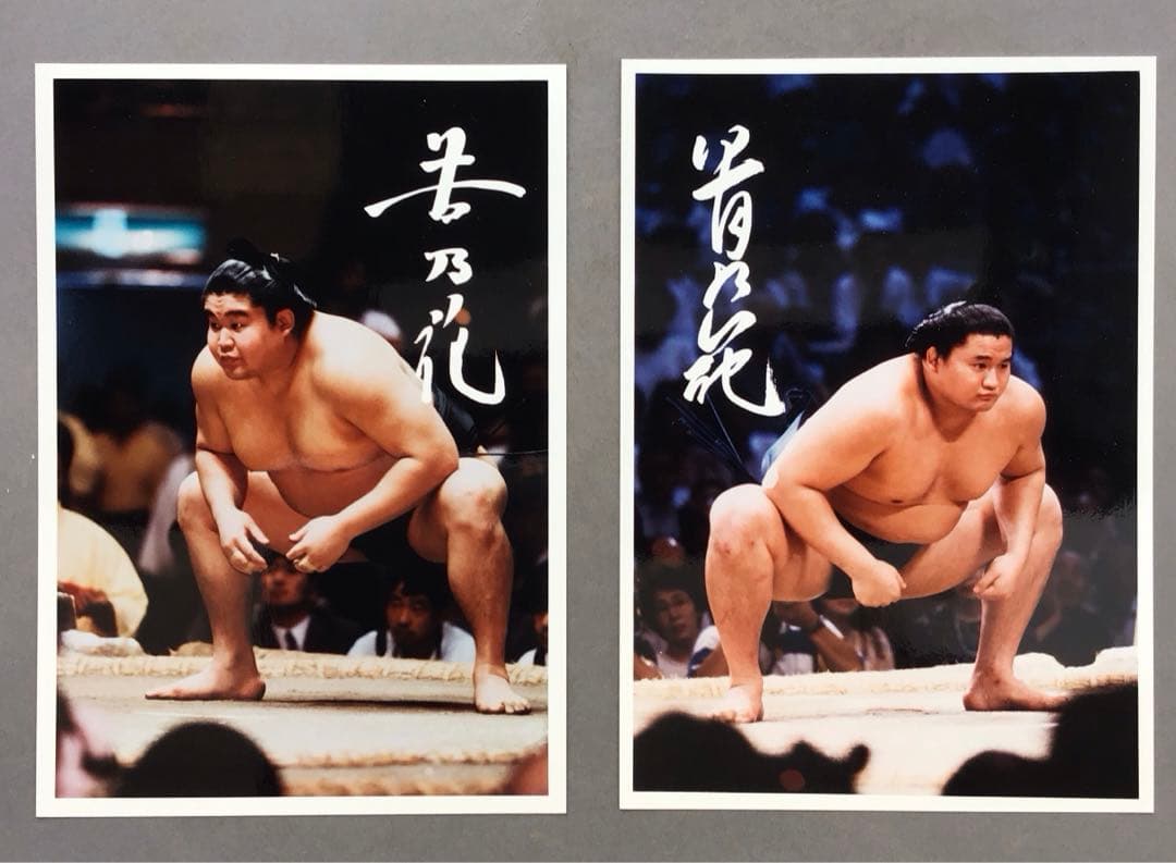 色紙　若乃花、貴乃花直筆揮毫手形　記念写真付　畳紙　配送用袋　S1040SS