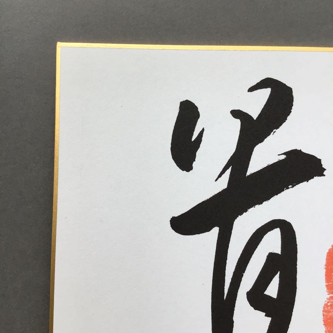 色紙　若乃花、貴乃花直筆揮毫手形　記念写真付　畳紙　配送用袋　S1040SS