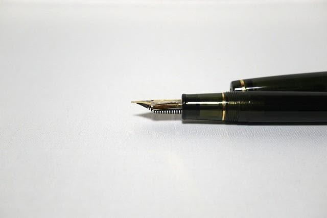 セーラー万年筆 Ｗancher プロフェッショナルギア 21K 細字