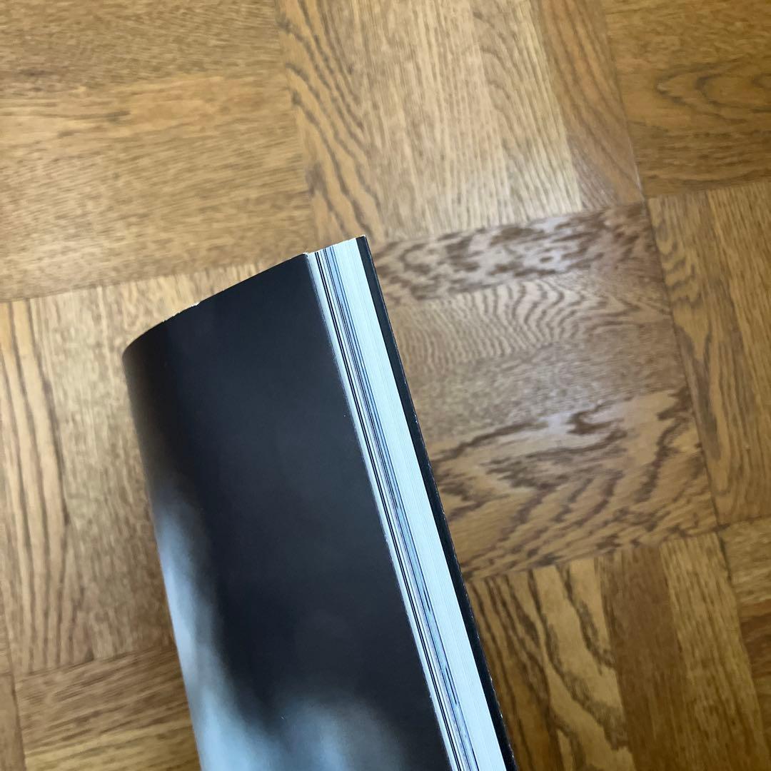 内藤礼　図録2冊セット 「すべて動物は、世界の内に…」 「たくさんのものが…」