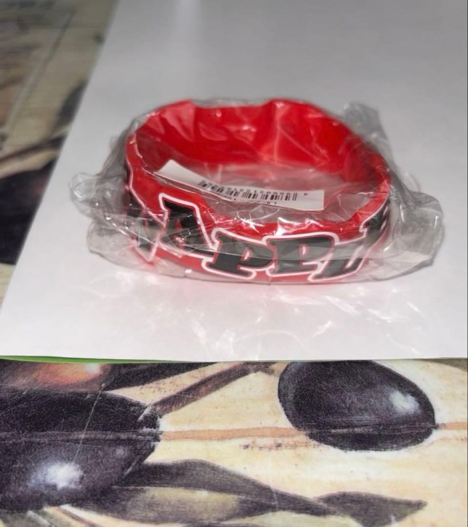 【新品未使用】Mrs.GREENAPPLEラバーバンド ゼンジン未到とプロテスト