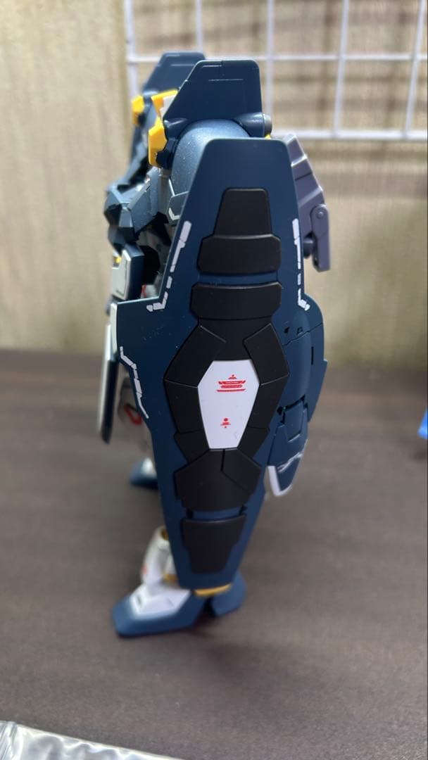 ガンプラ ジャンク プレバン品 2点set まとめ売り MG 2体